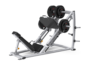 Leg Press